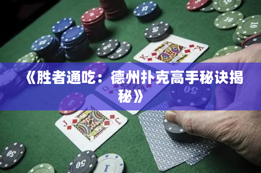 《勝者通吃：德州撲克高手秘訣揭秘》