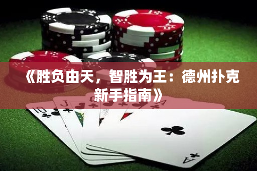 《勝負由天，智勝為王：德州撲克新手指南》