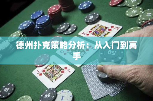 德州撲克策略分析：從入門到高手