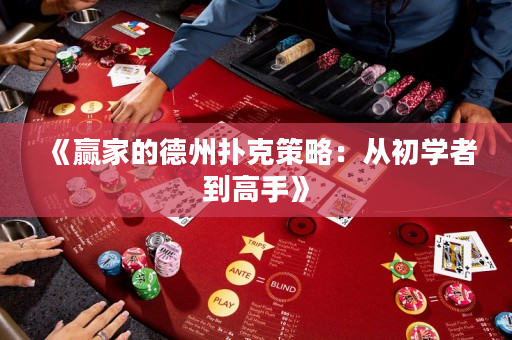 《贏家的德州撲克策略：從初學(xué)者到高手》