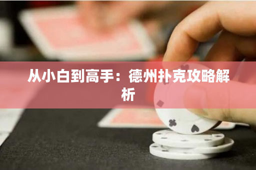 從小白到高手：德州撲克攻略解析