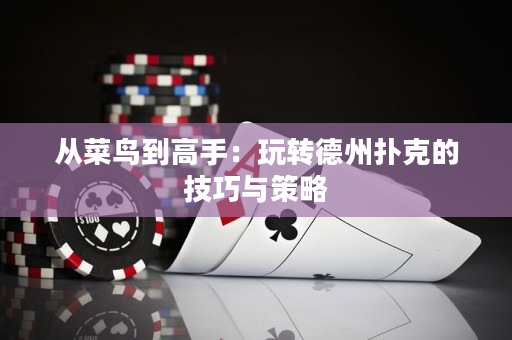 從菜鳥到高手：玩轉德州撲克的技巧與策略