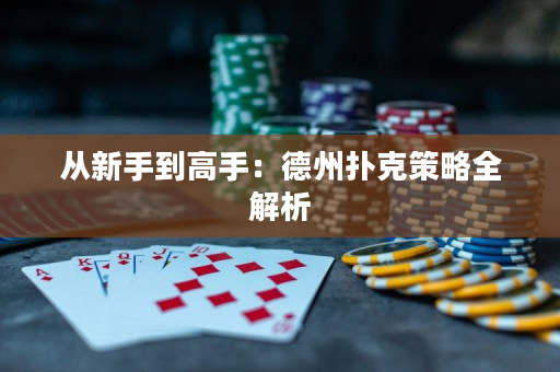 從新手到高手：德州撲克策略全解析