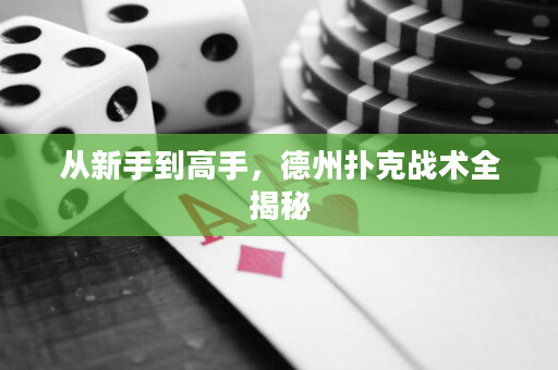 從新手到高手，德州撲克戰(zhàn)術(shù)全揭秘