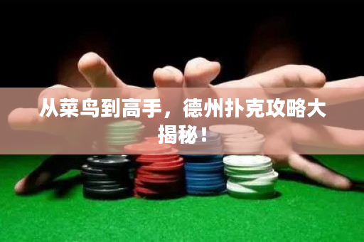 從菜鳥到高手，德州撲克攻略大揭秘！