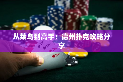 從菜鳥到高手：德州撲克攻略分享