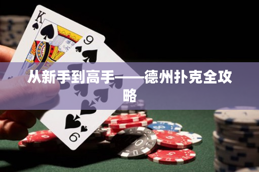從新手到高手——德州撲克全攻略