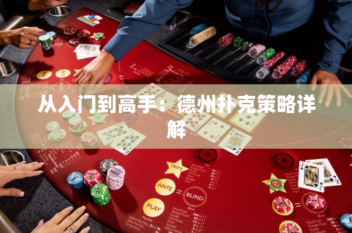 從入門到高手：德州撲克策略詳解