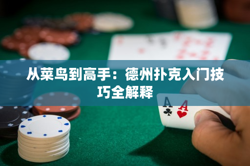 從菜鳥到高手：德州撲克入門技巧全解釋