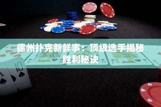 德州撲克新鮮事：頂級選手揭秘勝利秘訣
