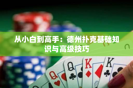 從小白到高手：德州撲克基礎(chǔ)知識與高級技巧