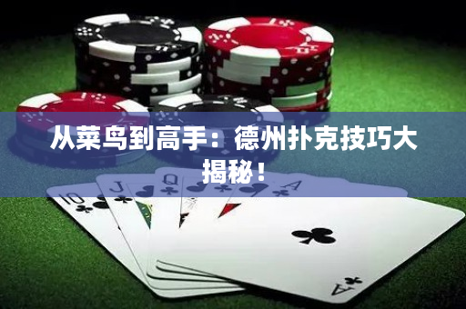 從菜鳥到高手：德州撲克技巧大揭秘！