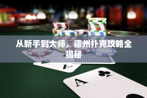 從新手到大師，德州撲克攻略全揭秘