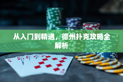 從入門到精通，德州撲克攻略全解析