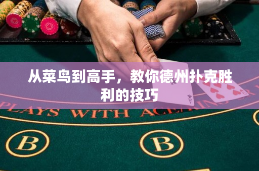 從菜鳥到高手，教你德州撲克勝利的技巧