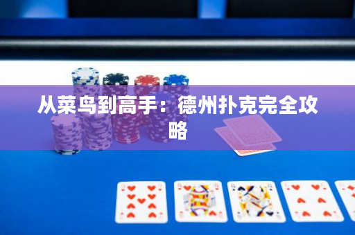 從菜鳥到高手：德州撲克完全攻略