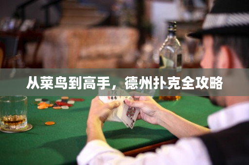 從菜鳥到高手，德州撲克全攻略