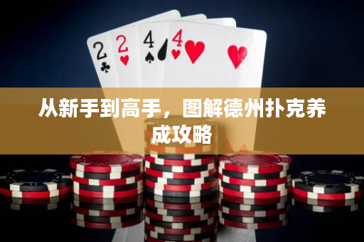 從新手到高手，圖解德州撲克養(yǎng)成攻略