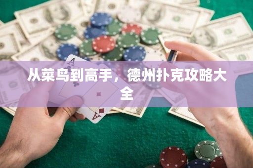 從菜鳥到高手，德州撲克攻略大全