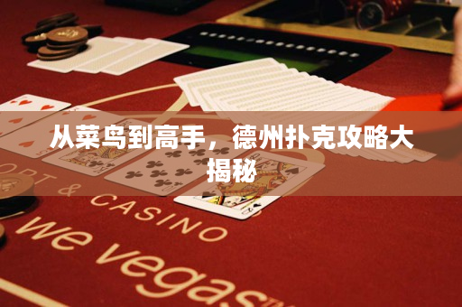 從菜鳥到高手，德州撲克攻略大揭秘