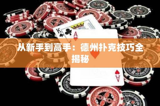 從新手到高手：德州撲克技巧全揭秘