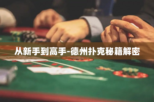 從新手到高手-德州撲克秘籍解密