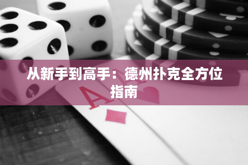 從新手到高手：德州撲克全方位指南