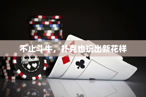 不止斗牛，撲克也玩出新花樣