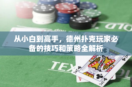從小白到高手，德州撲克玩家必備的技巧和策略全解析
