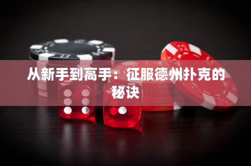 從新手到高手：征服德州撲克的秘訣