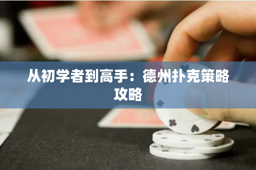 從初學(xué)者到高手：德州撲克策略攻略