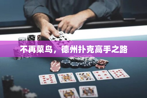 不再菜鳥(niǎo)，德州撲克高手之路