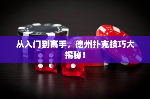 從入門到高手，德州撲克技巧大揭秘！