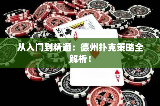 從入門到精通：德州撲克策略全解析！