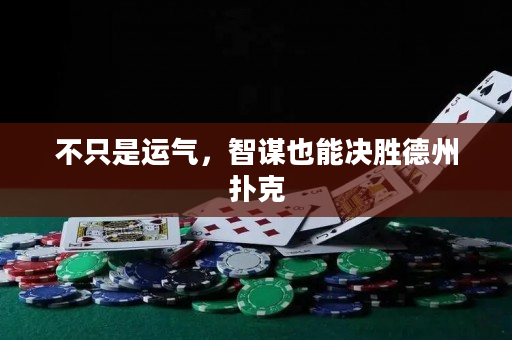 不只是運氣，智謀也能決勝德州撲克