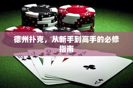 德州撲克，從新手到高手的必修指南