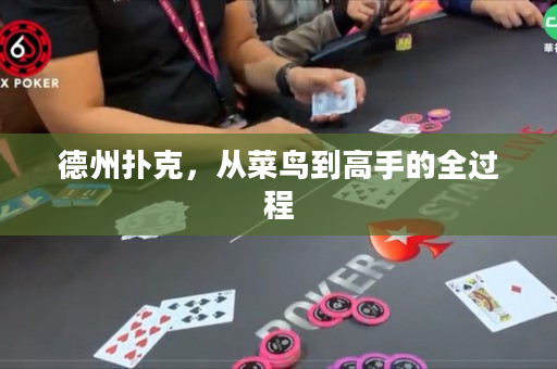 德州撲克，從菜鳥到高手的全過程
