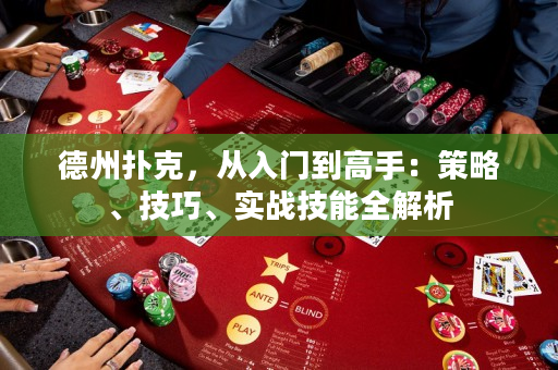 德州撲克，從入門到高手：策略、技巧、實(shí)戰(zhàn)技能全解析