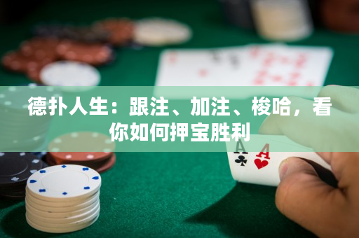 德撲人生：跟注、加注、梭哈，看你如何押寶勝利