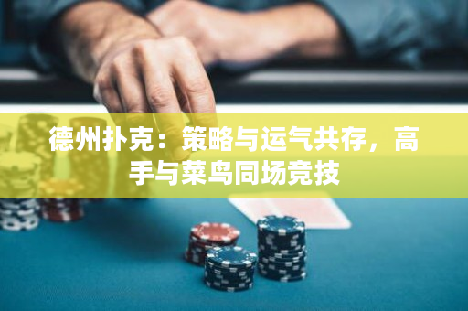 德州撲克：策略與運氣共存，高手與菜鳥同場競技