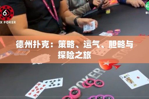 德州撲克：策略、運(yùn)氣、膽略與探險(xiǎn)之旅