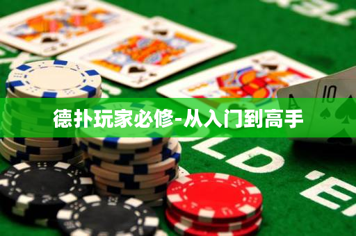 德撲玩家必修-從入門到高手