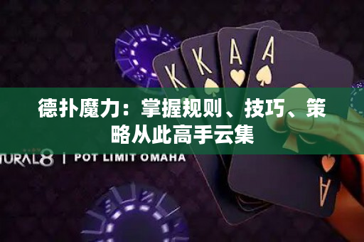 德?lián)淠ЯΓ赫莆找?guī)則、技巧、策略從此高手云集