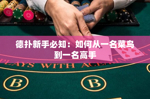 德?lián)湫率直刂喝绾螐囊幻锁B(niǎo)到一名高手