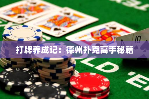 打牌養成記：德州撲克高手秘籍