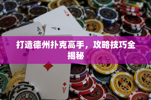 打造德州撲克高手，攻略技巧全揭秘