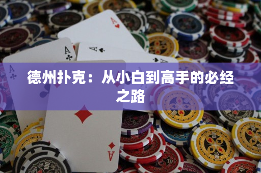 德州撲克：從小白到高手的必經之路
