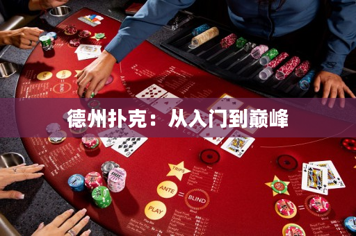 德州撲克：從入門到巔峰
