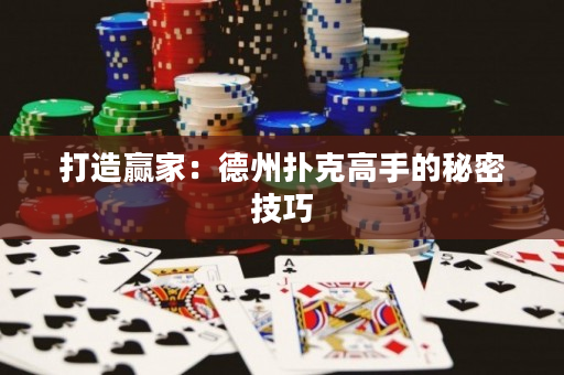 打造贏家：德州撲克高手的秘密技巧