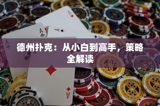 德州撲克：從小白到高手，策略全解讀